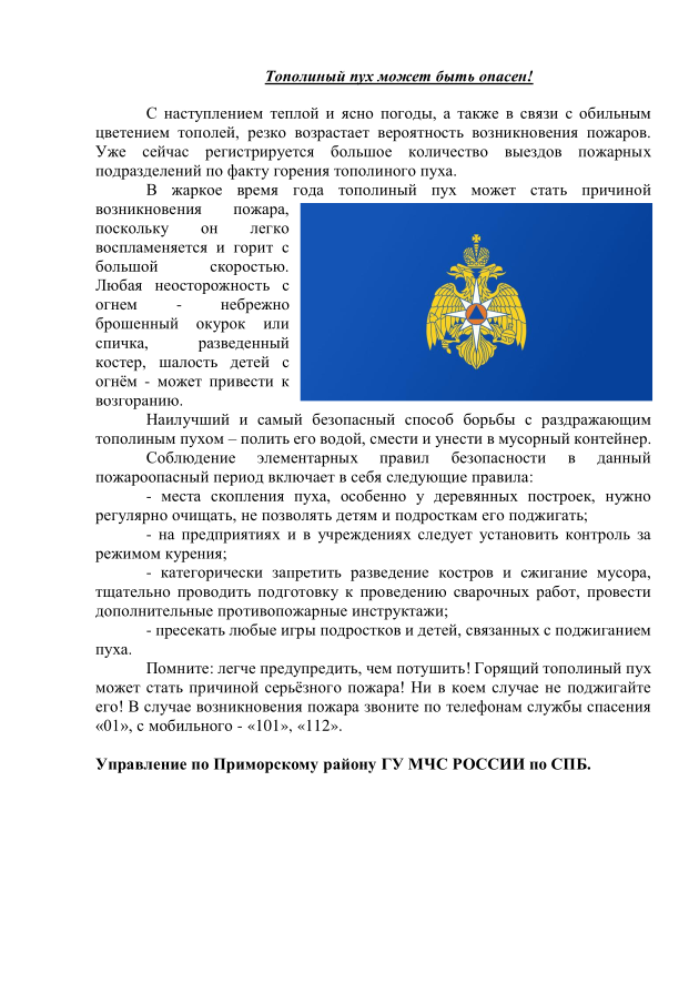 Тополиный пух может быть опасен!