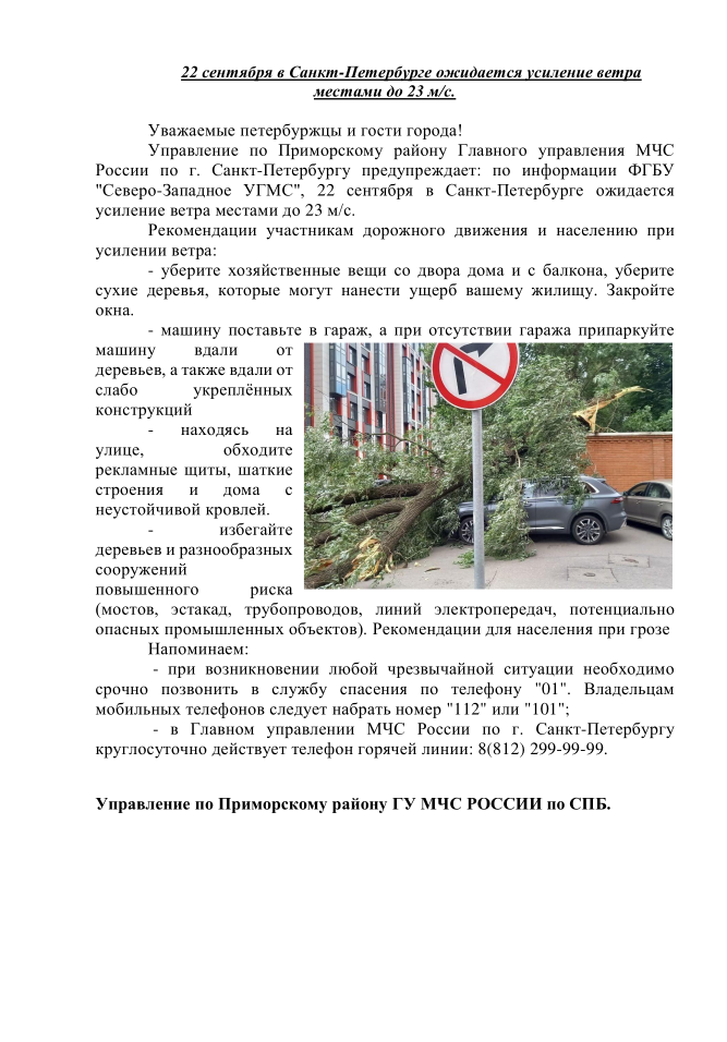 22 сентября в Санкт-Петербурге ожидается усиление ветра местами до 23 м/с